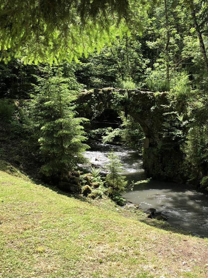 サランシュ Le Moulin Des Oliricsヴィラ エクステリア 写真