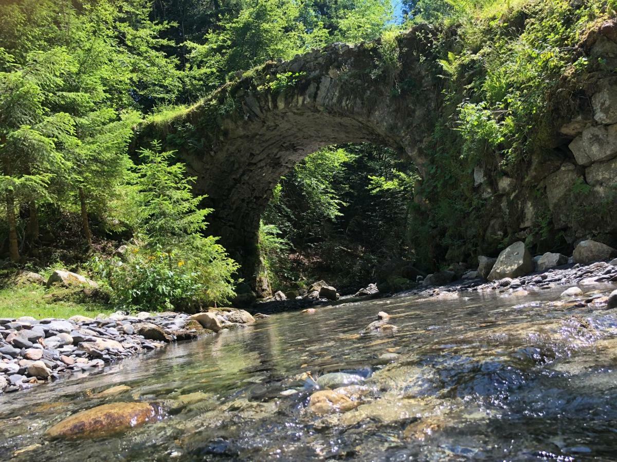 サランシュ Le Moulin Des Oliricsヴィラ エクステリア 写真