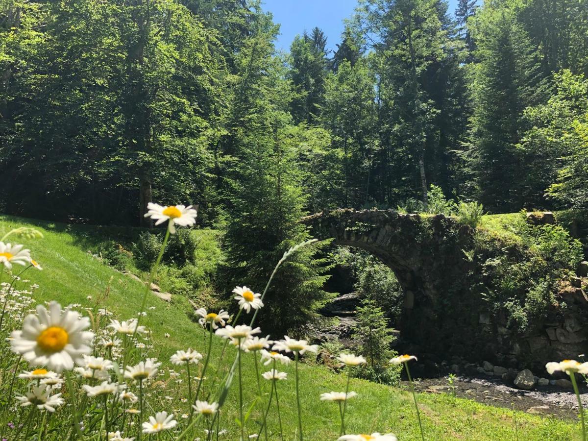 サランシュ Le Moulin Des Oliricsヴィラ エクステリア 写真